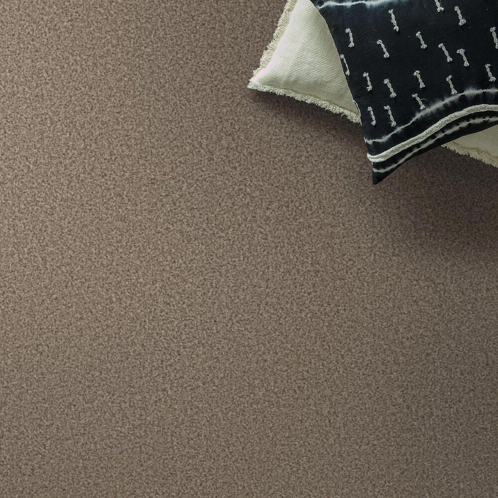 Anderson Tuftex Avalon Bay Carpet in Distant Land, , large