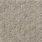 Shaw West Fork Carpet in Koala, , large