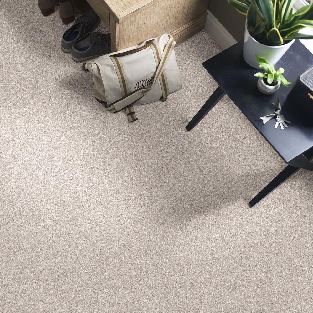 Shaw Influencer Carpet in Gallery Opening, , large