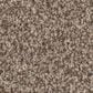 Anderson Tuftex Bossa Nova Carpet in Roasted, , large