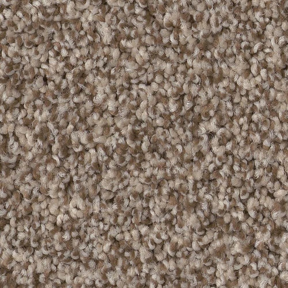 Anderson Tuftex Bossa Nova Carpet in Roasted, , large
