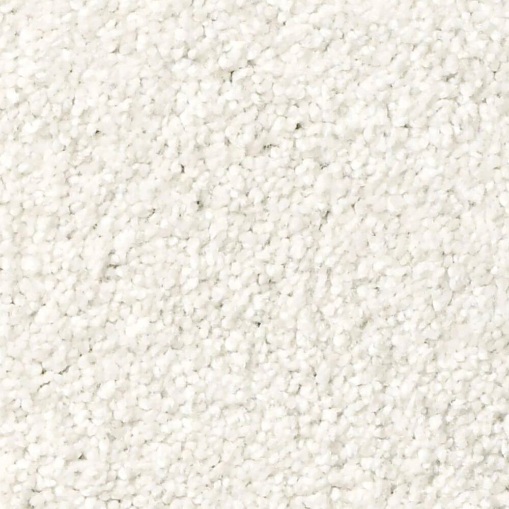 Shaw Tonal Comfort I Carpet in Gallery Opening, , large
