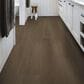 Shaw Dwell Natural Umber 9" x 60" Luxury Vinyl Plank, , large