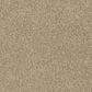 Shaw Tonal Comfort Ii Carpet in Honey Tea, , large