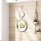 Zuo Modern Mott Mirror in Gold, , large