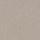 Dixie Home DX301 Carpet in Dovetail, , large