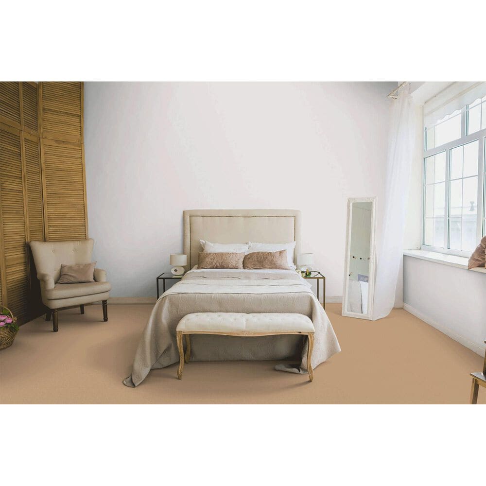 Dixie Home Neverland Carpet in Maple Valley, , large
