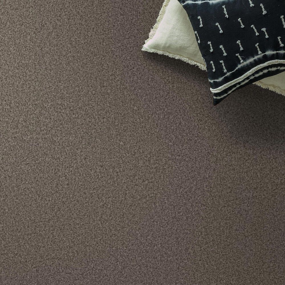 Anderson Tuftex Fabulous Carpet in Ottertail, , large