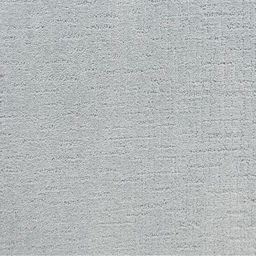 Dixie Home All Star Carpet in First Place, , large