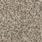 Mohawk Purrsonality III Carpet in Highway, , large