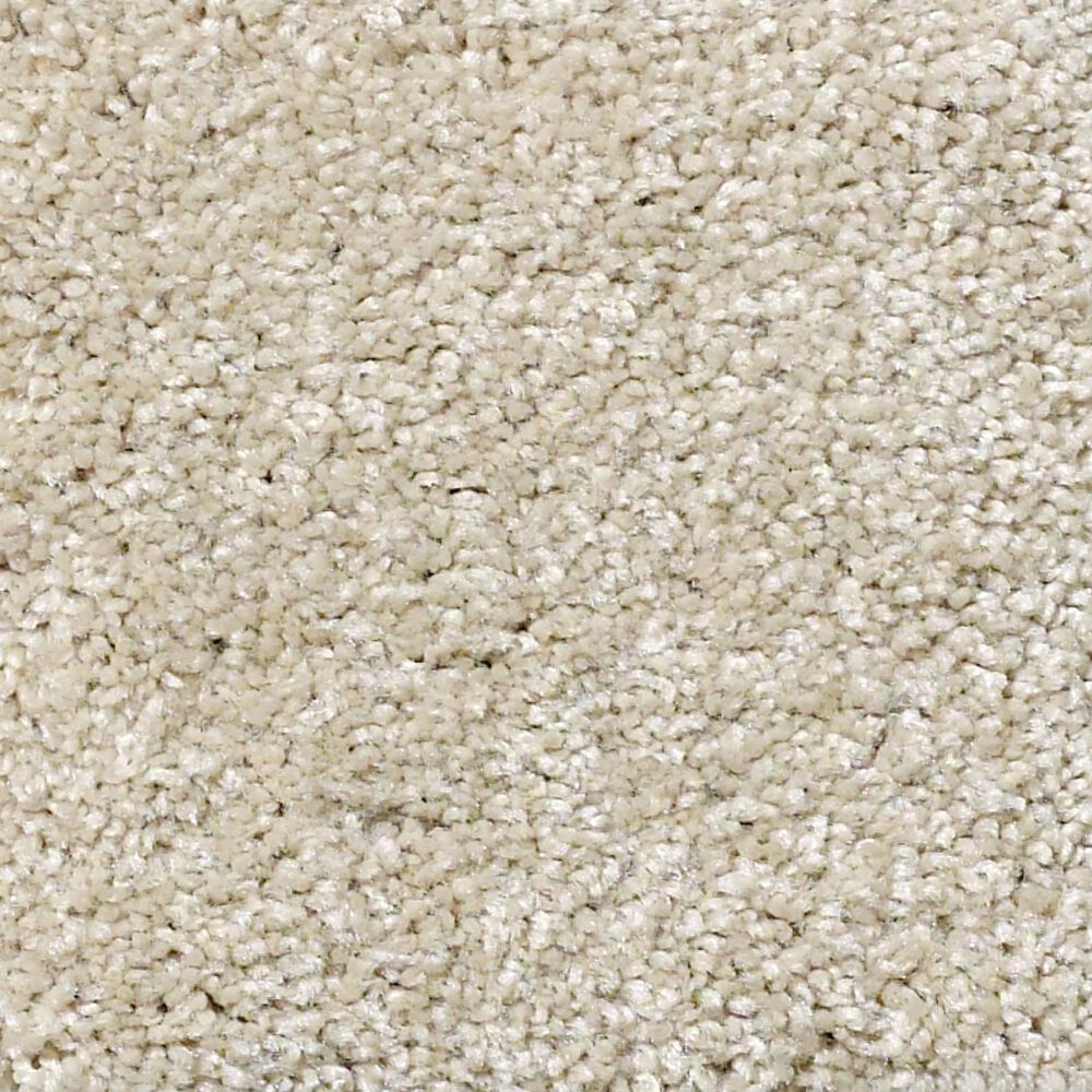 Shaw Foundations Take The Floor Texture II Carpet in Suitable, , large