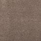 Mohawk Luxuriant Life Carpet in Firewood, , large