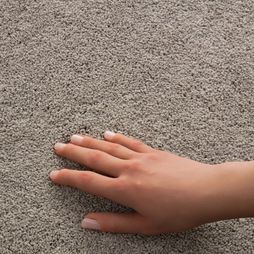Philadelphia Champagne Taste II Carpet in Chic Greige, , large