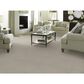 Anderson Tuftex Moondance Carpet in Sedate, , large