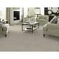 Anderson Tuftex Moondance Carpet in Sedate, , large