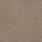 Karastan Sensational Allure Carpet in Sundial, , large