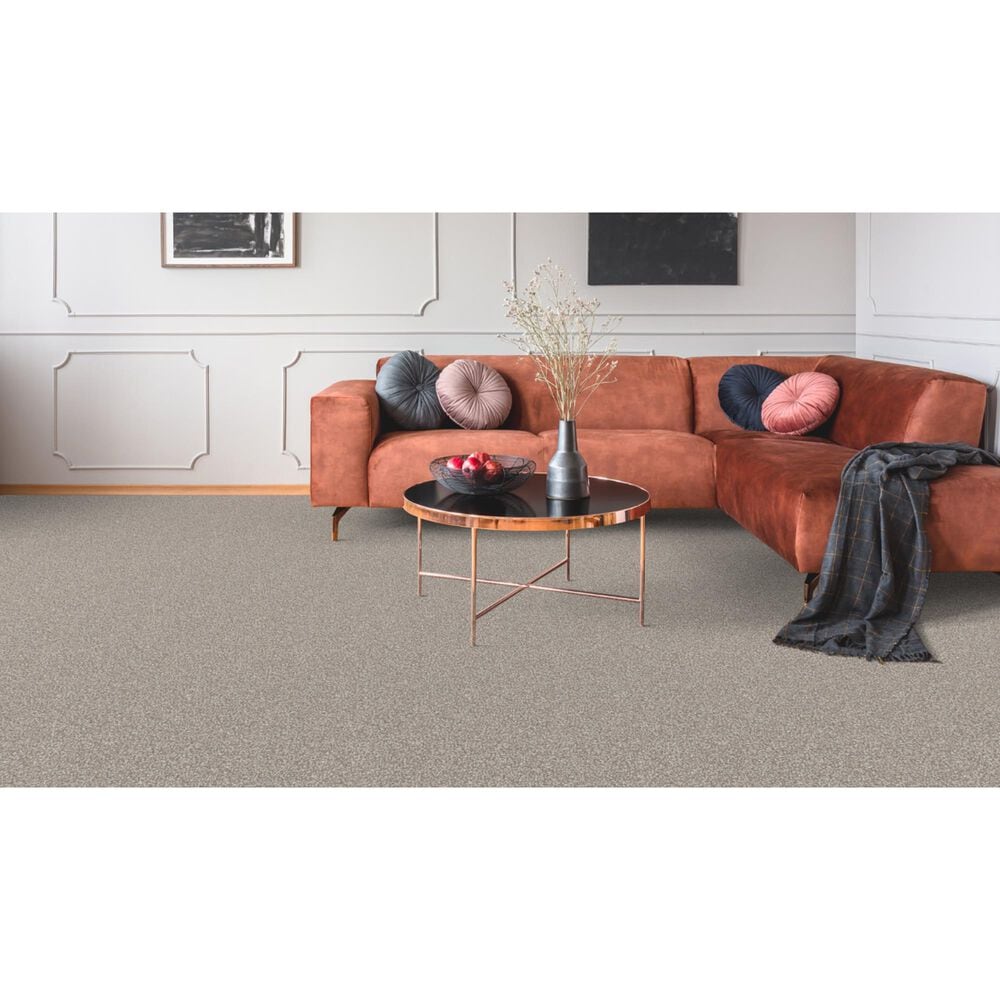 Dixie Home Bella Carpet in Yorkie, , large
