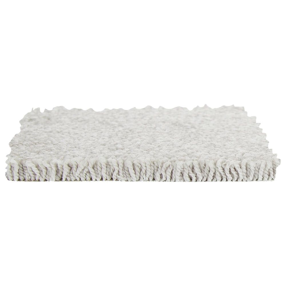 Mohawk Memorable View Carpet in Ancestral, , large