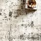 Loloi II Alchemy ALC-04 9"11" x 13"6" Silver and Graphite Area Rug, , large