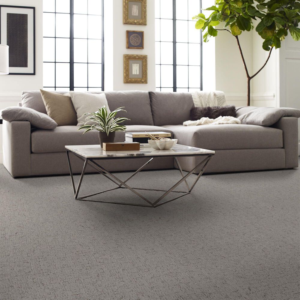 Shaw Run Free Carpet in Gravity, , large