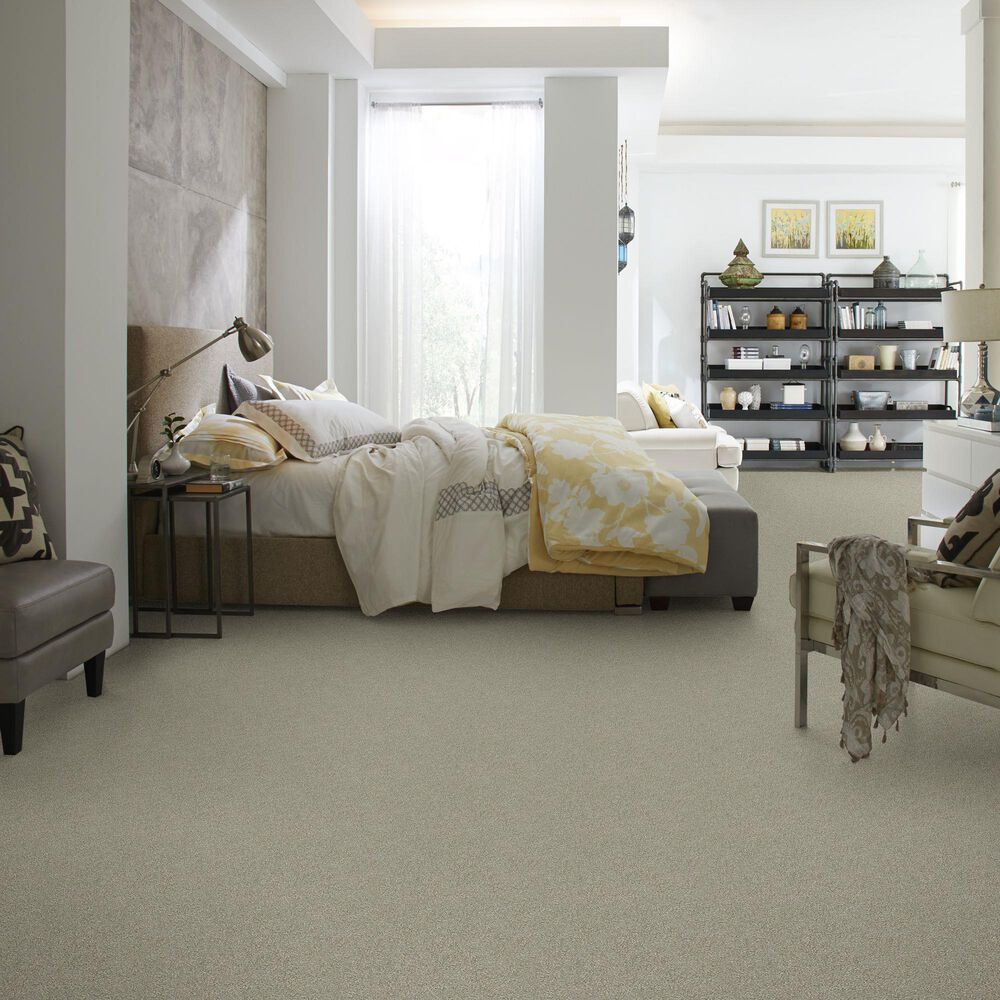 Shaw Simply the Best Attainable Carpet in Winter Dunes, , large