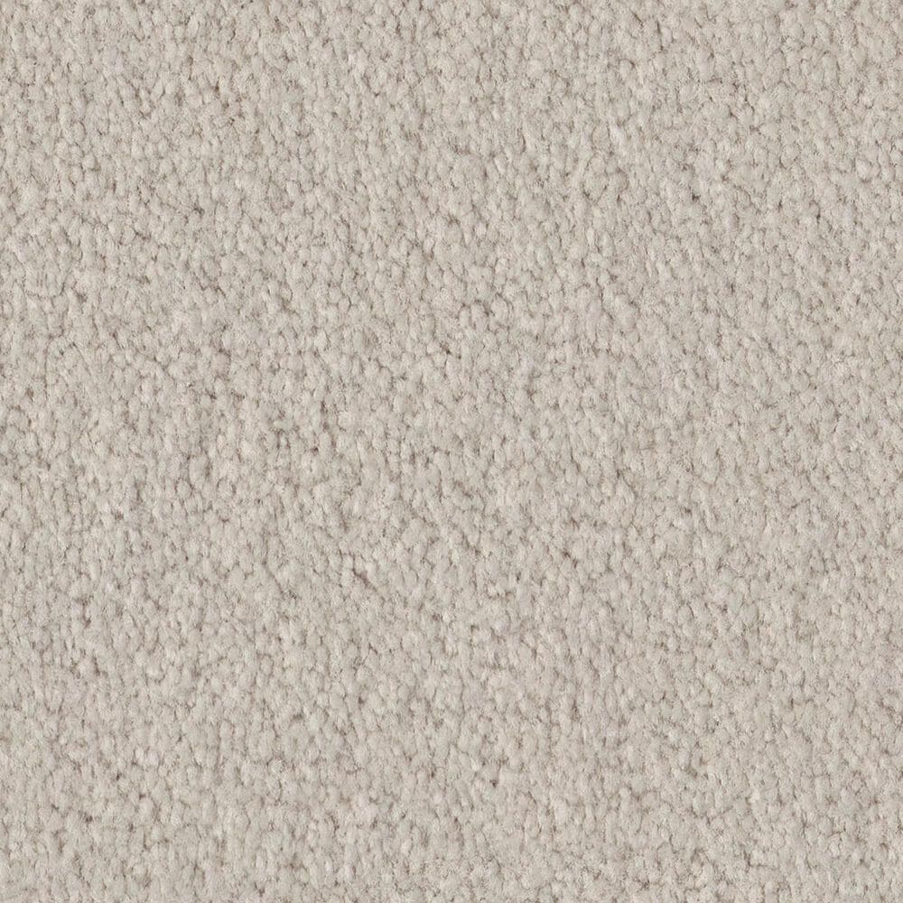 Anderson Tuftex Finery Carpet in Oyster Bar, , large