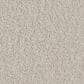 Anderson Tuftex Finery Carpet in Oyster Bar, , large