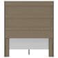 Ashley Fraluna Queen Panel Storage Bed  in Charcoal, , large