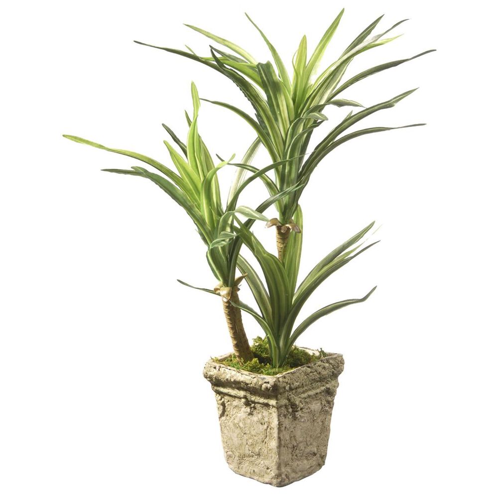 National Tree 14" Yucca Plant, , large