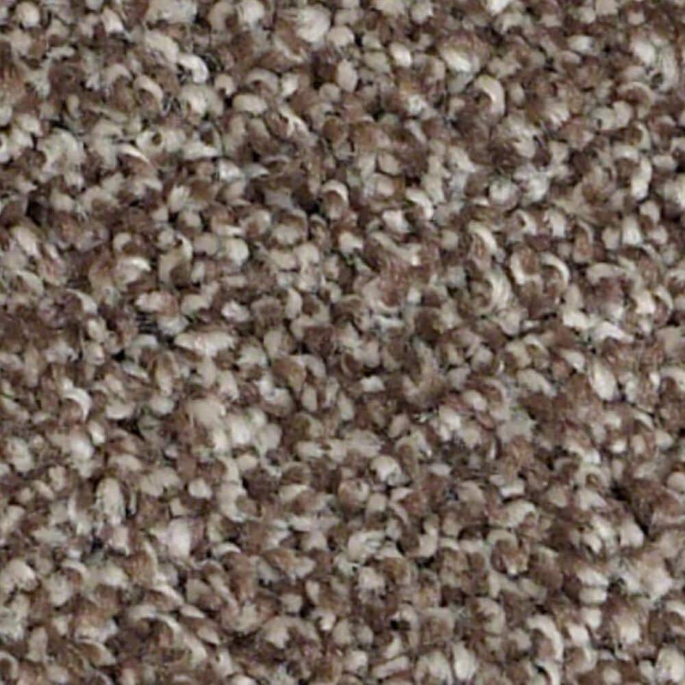 Shaw Always Ready II Carpet in Cobble Brown, , large