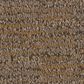 Anderson Tuftex Sneak Peek Carpet in Leather Work, , large