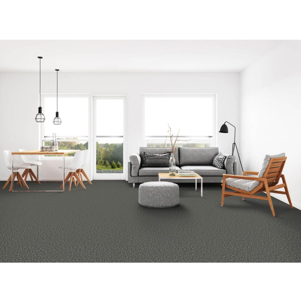 Dixie Home Main Force Carpet in Onyx, , large