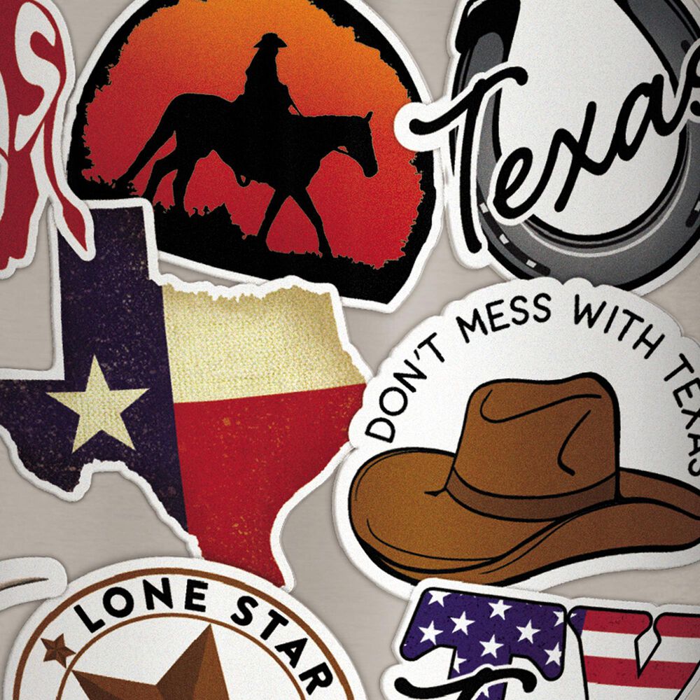 Carson Gifts Texas 12 Oz Stainless Wine Tumbler in Multicolor, , large