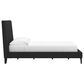 Ashley Cadmori Full Upholstered Bed in Black, , large