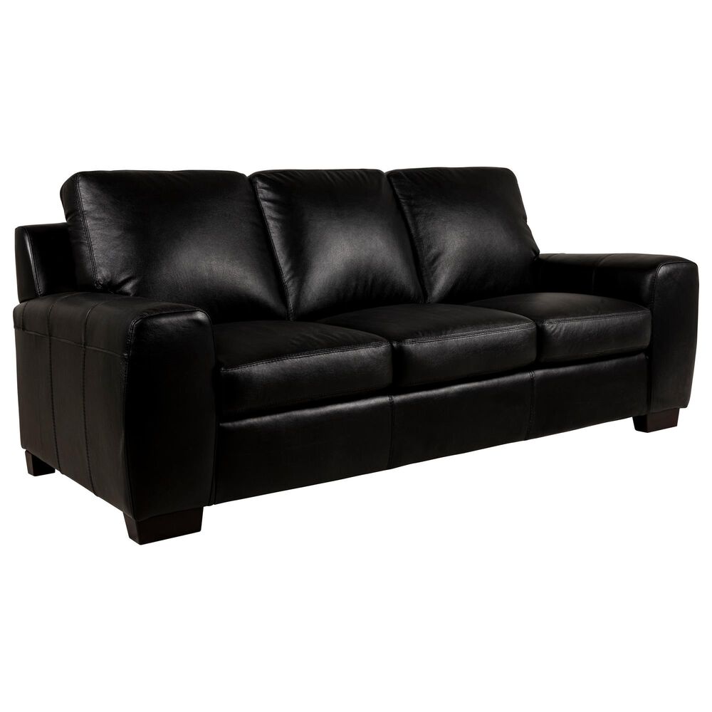 North American Leather Co Vantage Leather Sofa in Raven, , large