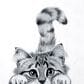 Pavilion Animal Antics Cat Royal Plush Blanket in White, , large