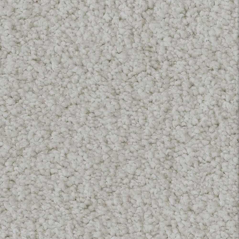 Anderson Tuftex Luxe Feel II Carpet in Folly, , large