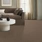Anderson Tuftex Bossa Nova Carpet in Ranch, , large