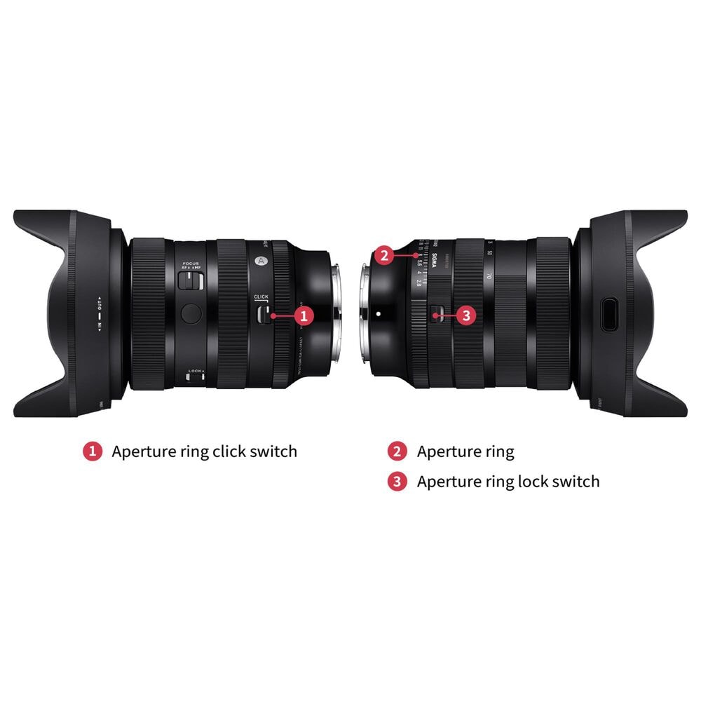 Sigma 24-70mm f/2.8 DG DN II Art Lens for Sony E-Mount in Black, , large