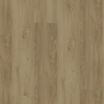 Herregan Distributors EcoDense 1.0 Sligo 9.5" x 51" Laminate, , large