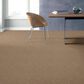 Shaw Acadia Park Carpet in Canyon Trail, , large