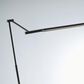 Lite Source Tilla LED Floor Lamp in Black, , large