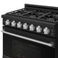 Thor Kitchen Gordon Ramsay 6 Cu. Ft. Professional Liquid Propane Range with Stainless Steel Handle Kit in Black, , large