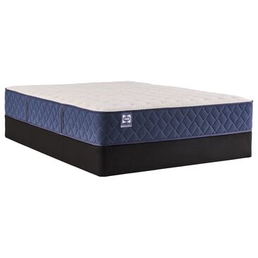 Sealy Safa Park Firm Twin Mattress with Low Profile Box Spring, , large