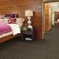 Shaw Speak Out Carpet in Loud and Clear, , large