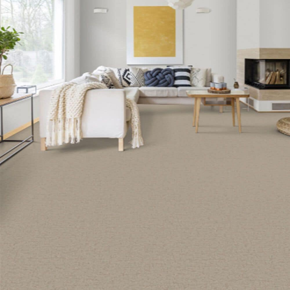 Dixie Home Genuine Carpet in Probable, , large