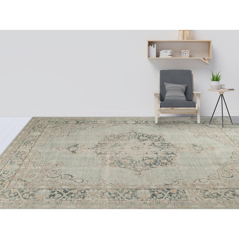 Amer Rugs Century 7&#39;10&quot; x 10&#39;6&quot; Sea Mist Area Rug, , large