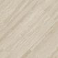 MS International Assos Beige 24" x 48" Porcelain Tile, , large