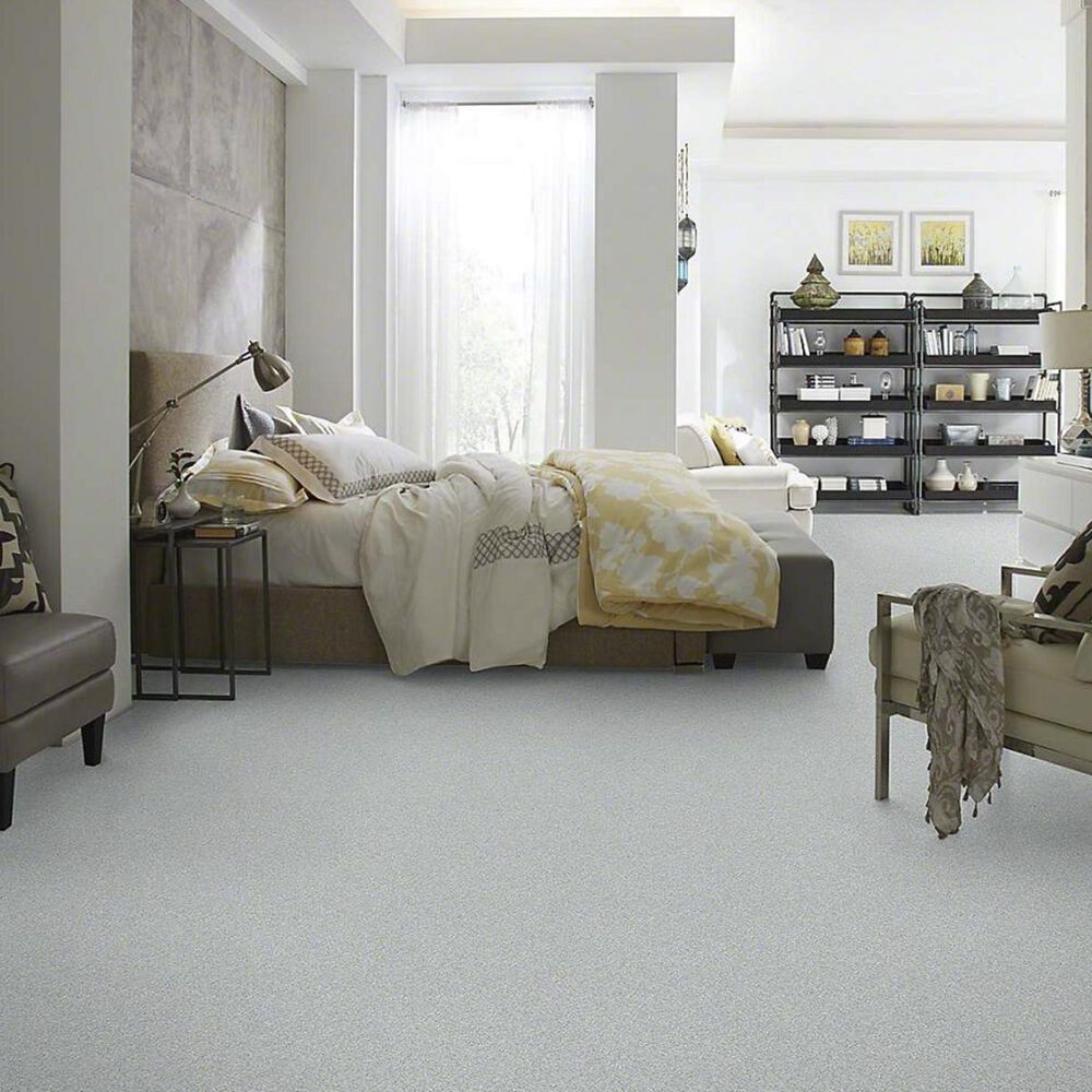 Anderson Tuftex Barracan Classic IV Carpet in Beach Glass, , large