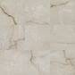 Shaw Astoria Chiffon 23.5" x 23.5" Polished Porcelain Tile, , large